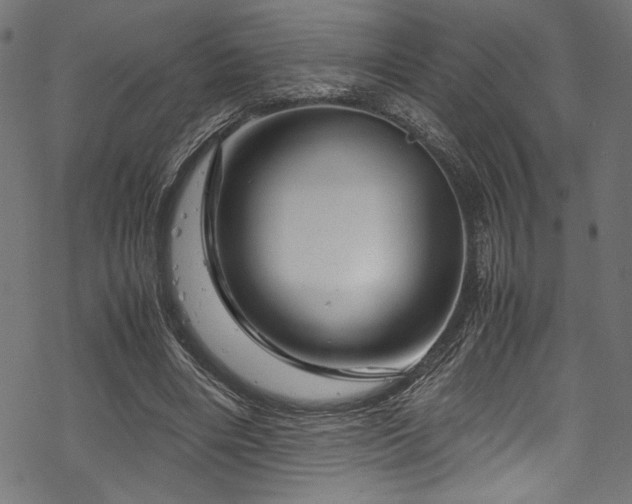 X0000070190490200605261201