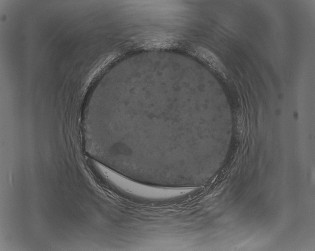 X0000070190491200605261201