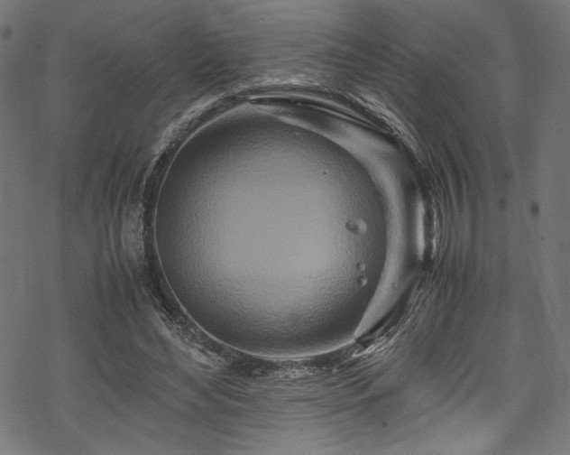 X0000070190492200605261201