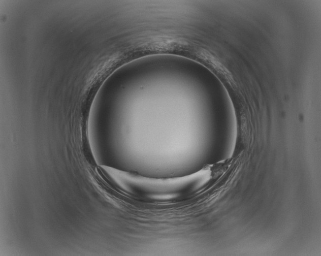 X0000070190493200605261201