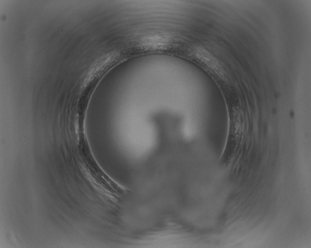 X0000070190494200605261201