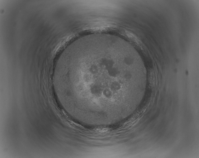 X0000070190495200605261201