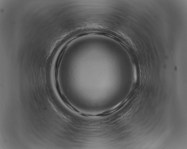 X0000070190496200605261201