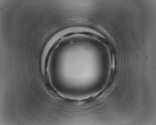 X0000070190497200605261201