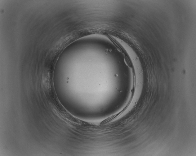 X0000070190498200605261201