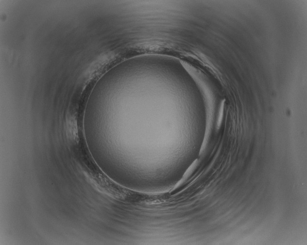 X0000070190500200605261201