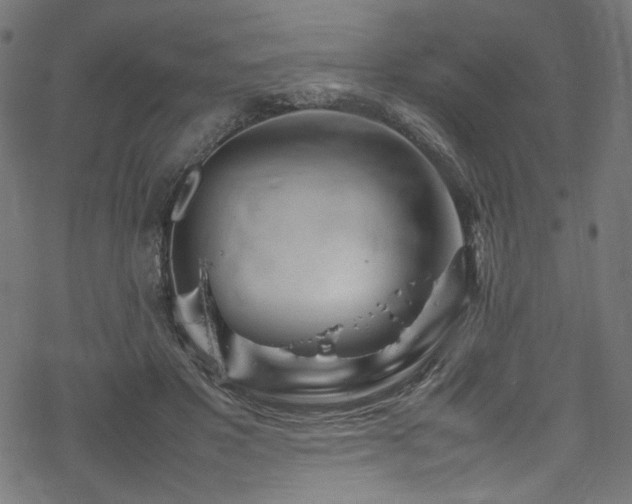 X0000070190501200605261201