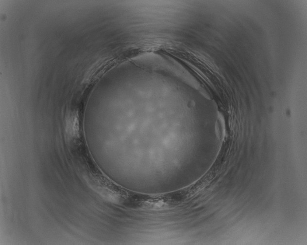 X0000070190502200605261201