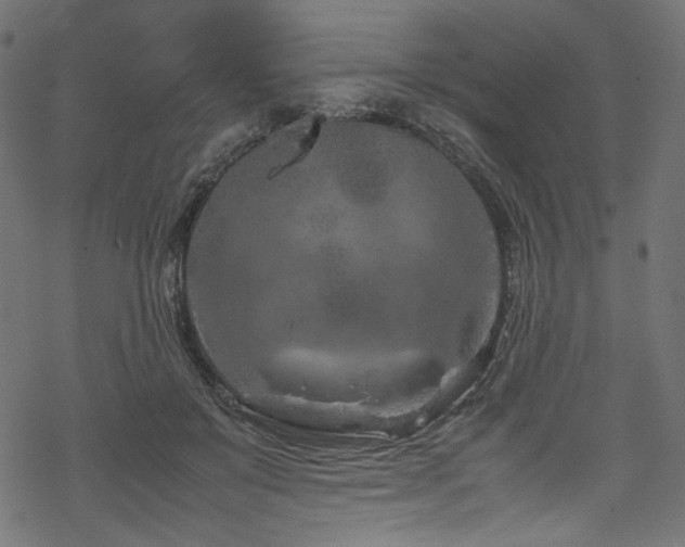 X0000070190503200605261201