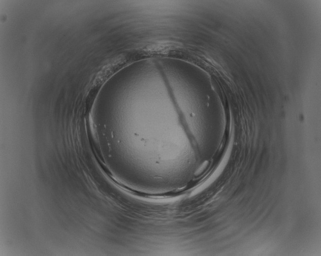 X0000070190504200605261201