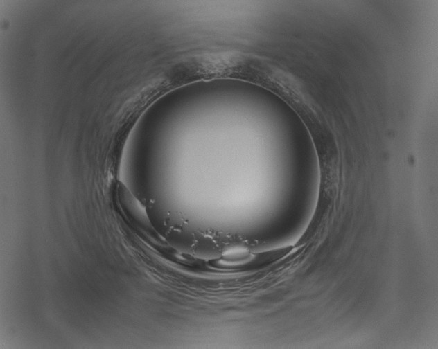 X0000070190505200605261201