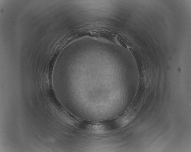 X0000070190506200605261201