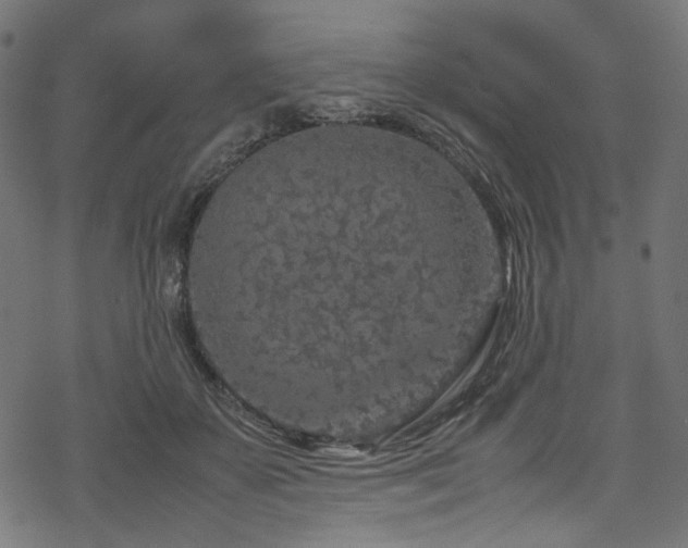 X0000070190507200605261201