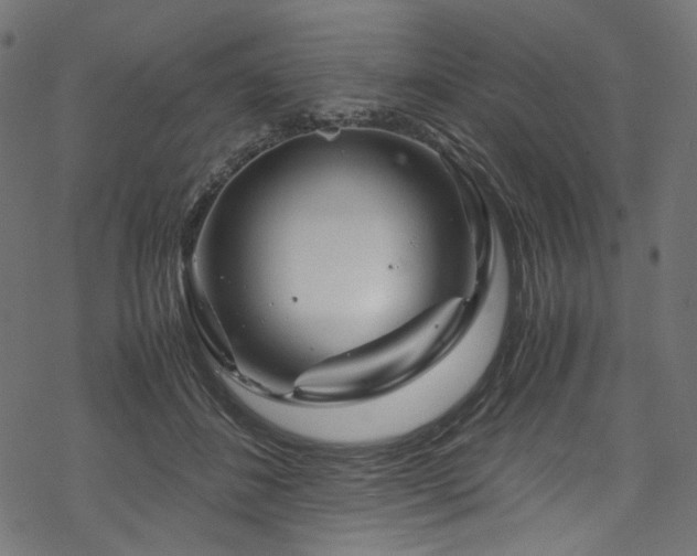 X0000070190508200605261201