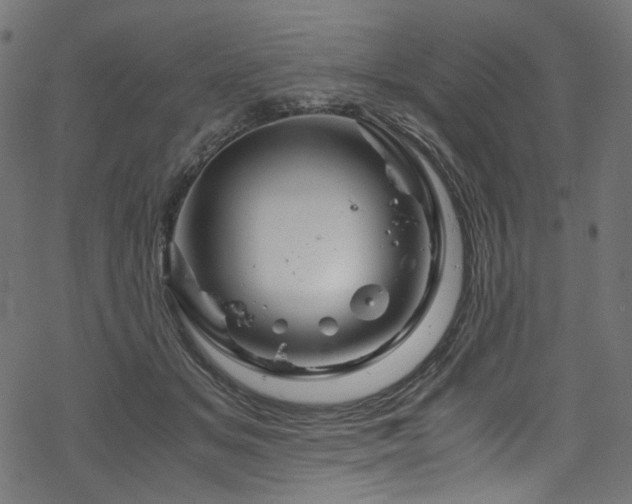 X0000070190509200605261201