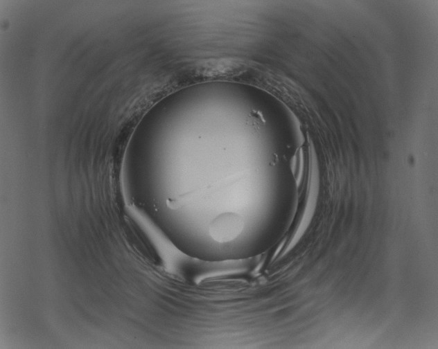 X0000070190510200605261201