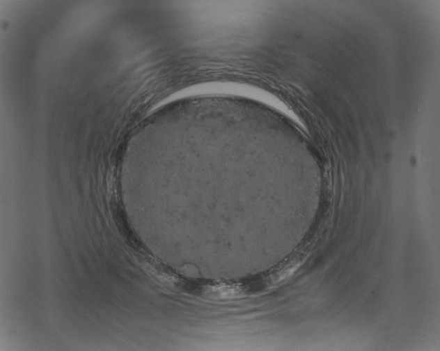 X0000070190511200605261201