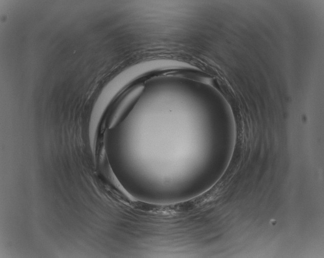 X0000070190512200605261201