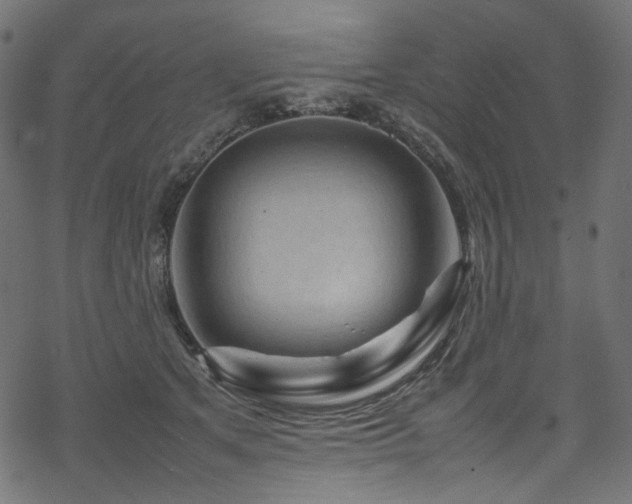 X0000070190513200605261201