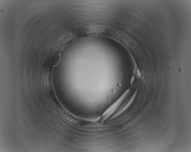 X0000070190514200605261201