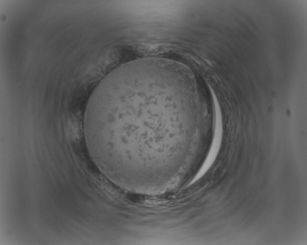 X0000070190515200605261201