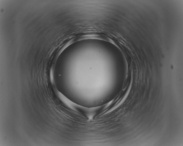 X0000070190516200605261201