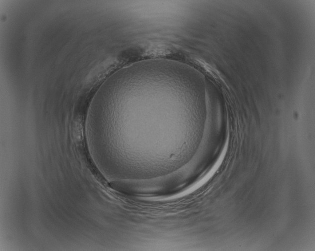 X0000070190517200605261201