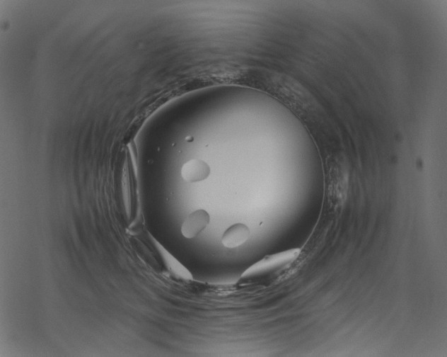 X0000070190518200605261201