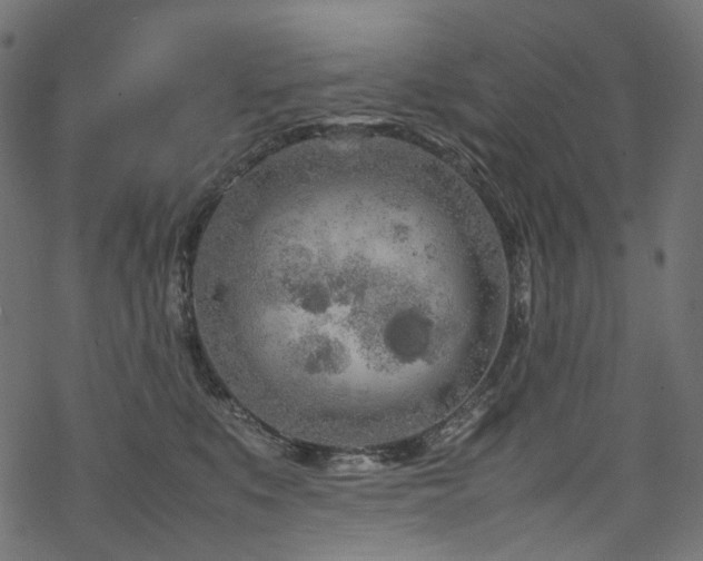 X0000070190519200605261201