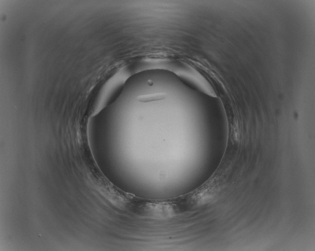 X0000070190520200605261201