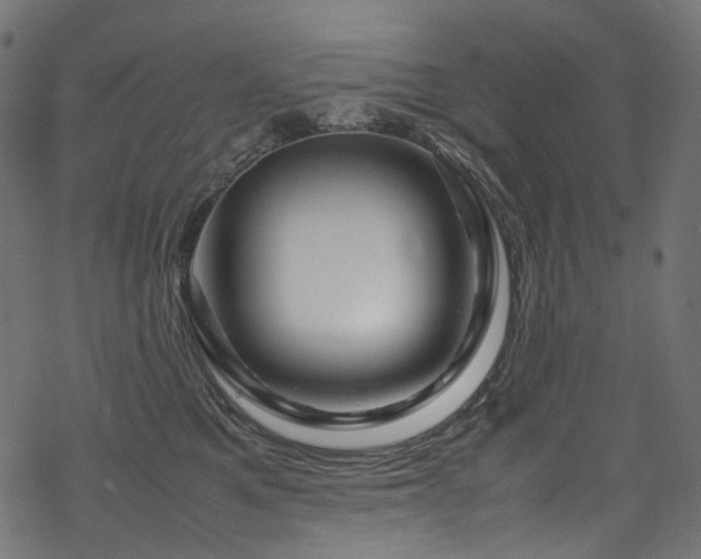 X0000070190521200605261201