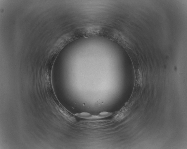 X0000070190522200605261201