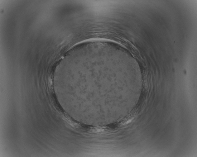 X0000070190523200605261201