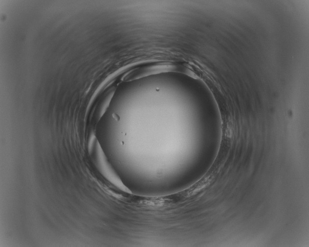 X0000070190524200605261201