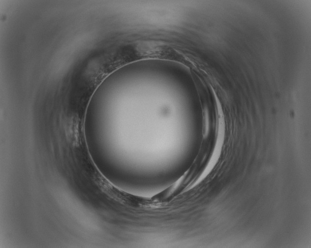 X0000070190525200605261201