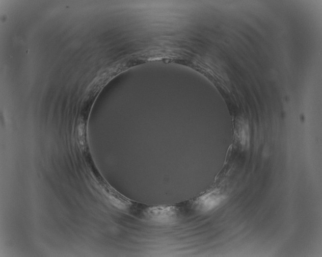 X0000070190526200605261201