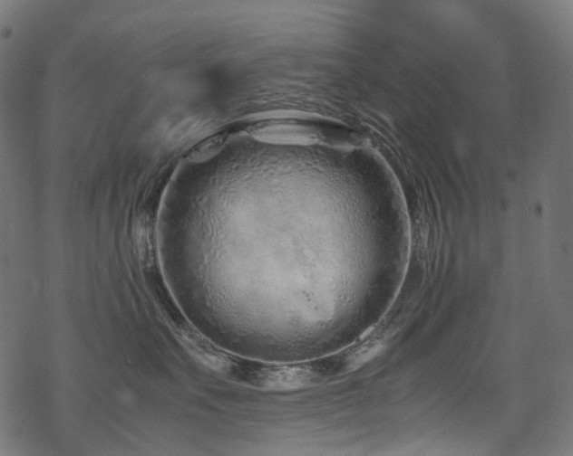 X0000070190527200605261201