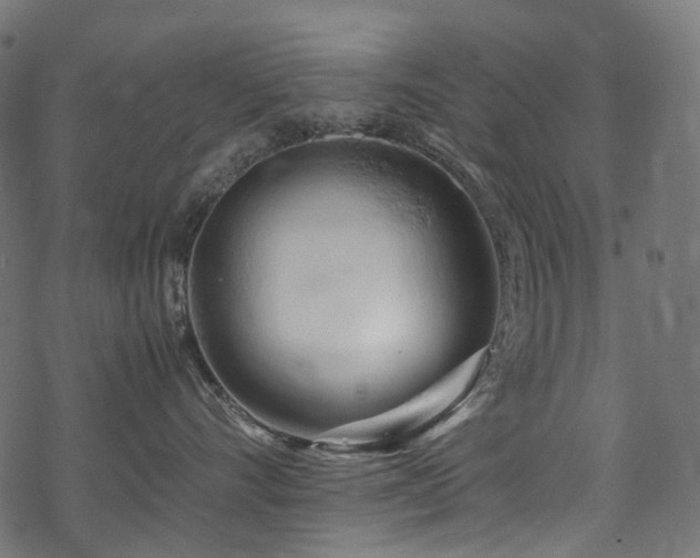 X0000070190528200605261201