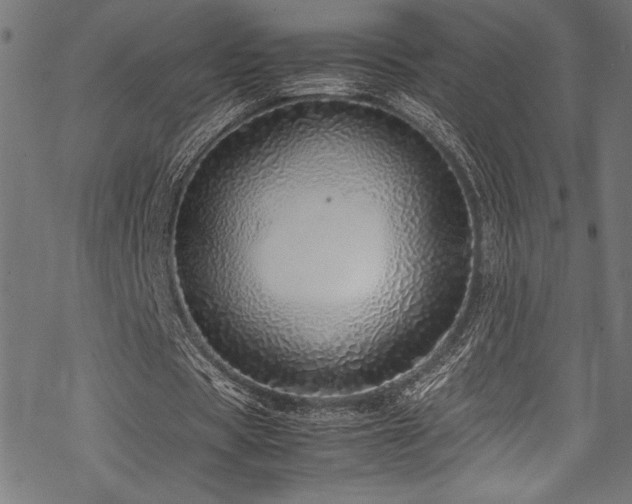 X0000070190529200605261200