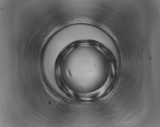 X0000070190530200605261200