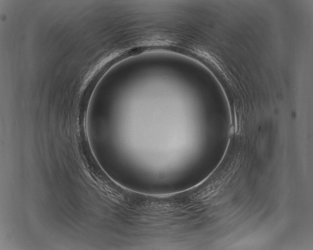 X0000070190531200605261200