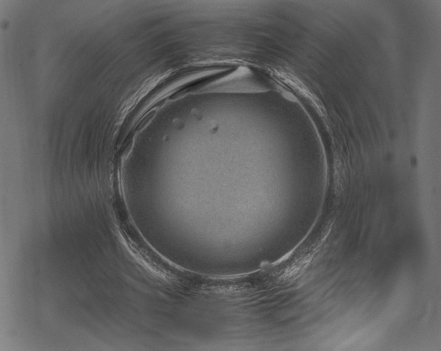 X0000070190533200605261200