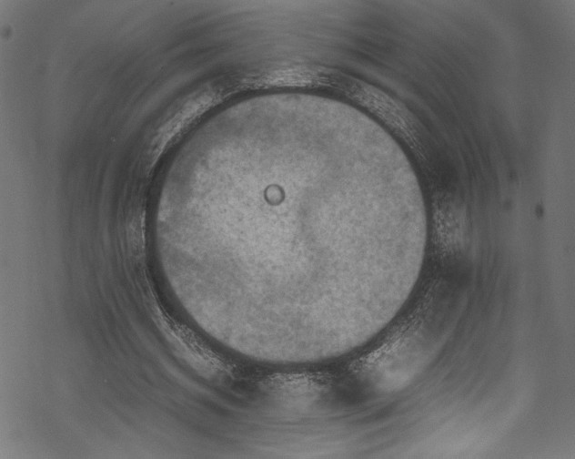 X0000070190534200605261200