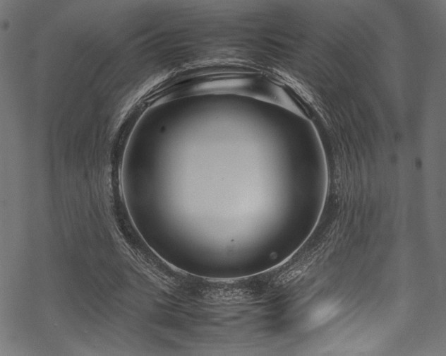 X0000070190535200605261200