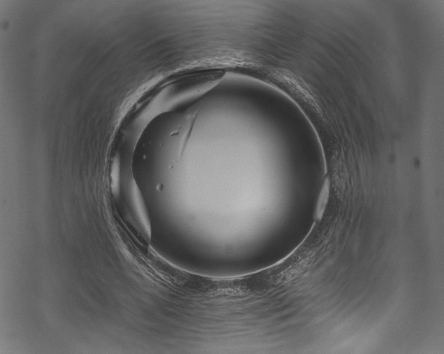 X0000070190536200605261200