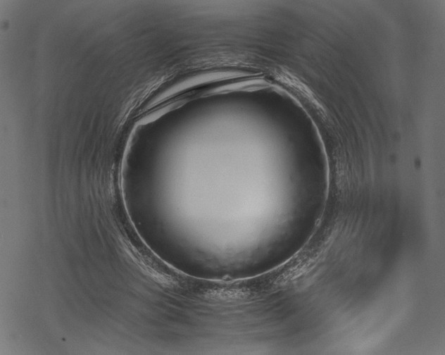 X0000070190537200605261200