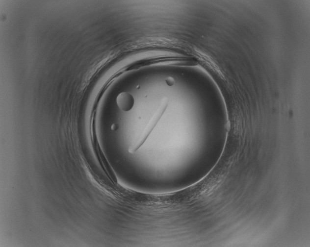 X0000070190538200605261200