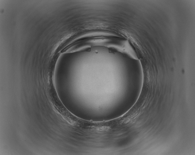 X0000070190539200605261200