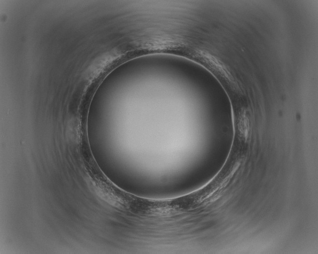 X0000070190540200605261200