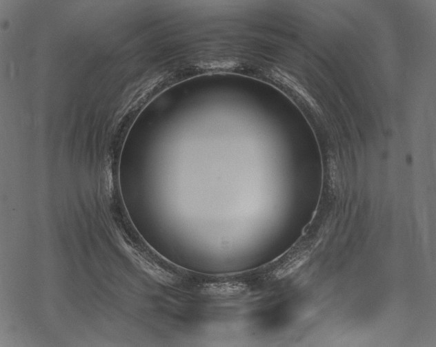 X0000070190541200605261200